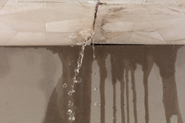 Professional Burst Pipe Cleanup technician working in Newark, TX